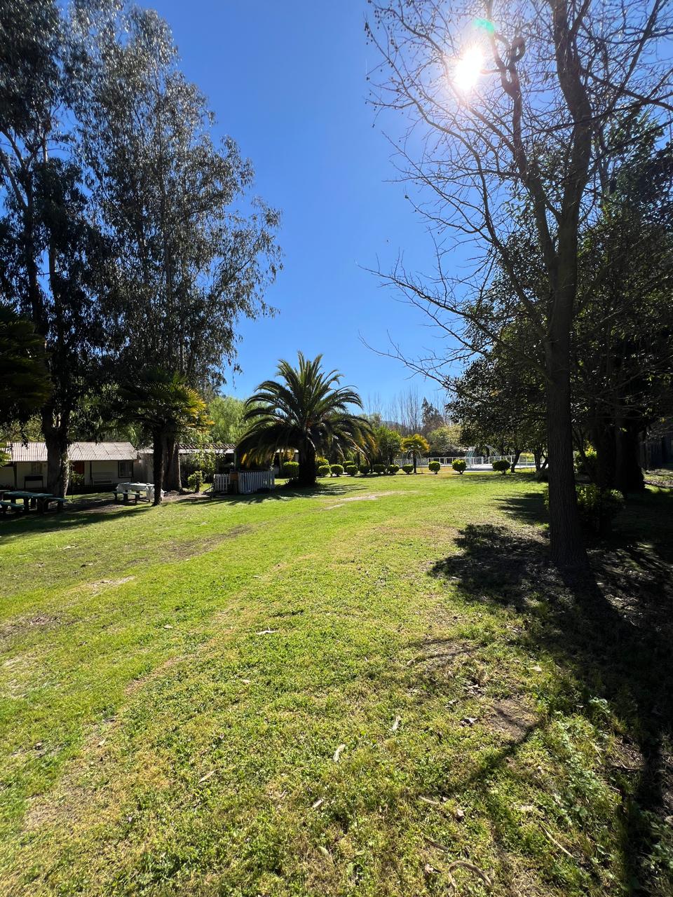Jardines de Monteverde Coltauco, con árboles, palmeras y amplias áreas verdes